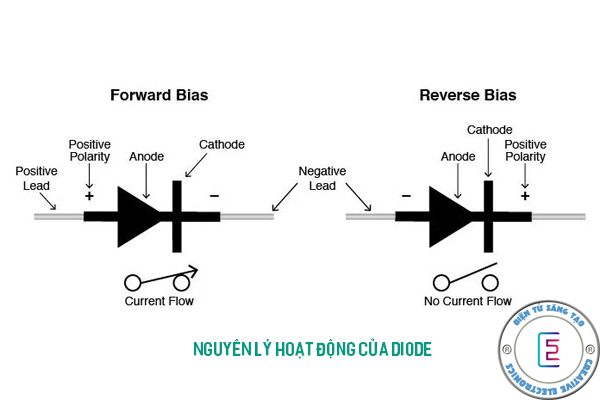 Nguyên lý hoạt động của diode
