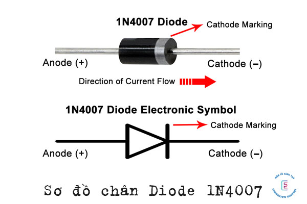 Sơ đồ chân của diode 1N4007