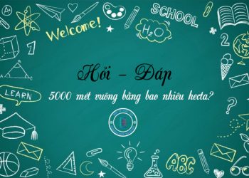 5000 mét vuông bằng bao nhiêu hecta?