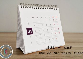 1 năm có bao nhiêu tuần?