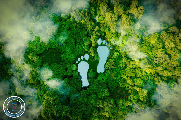 Cách tính Carbon footprint 