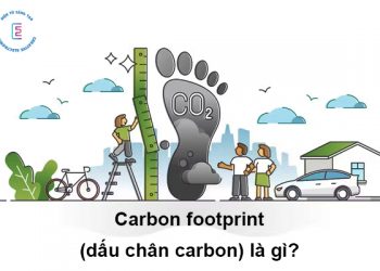 Carbon footprint (dấu chân carbon) là gì? 