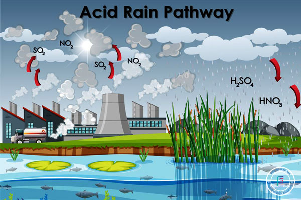 Nguyên nhân và quá trình hình thành mưa axit