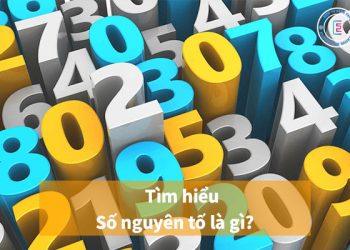 Số nguyên tố là gì?