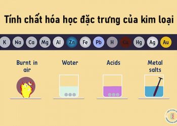 Tính chất hóa học đặc trưng của kim loại
