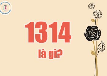 Tìm hiểu 1314 là gì?