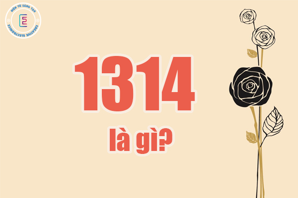 Tìm hiểu 1314 là gì?