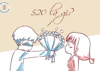 Tìm hiểu 520 là gì?