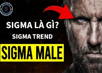 Tìm hiểu Sigma là gì?