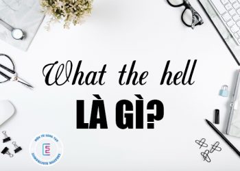 What the hell là gì? 