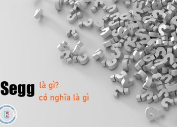 Tìm hiểu Segg là gì?
