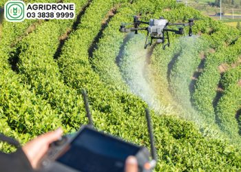 Đạt hiệu quả kinh tế